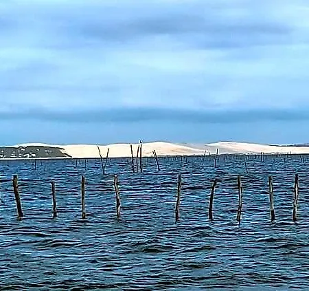Résidence De Tourisme Bleues Regina Arcachon