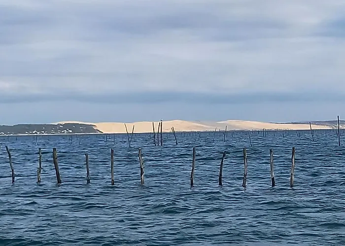 Appart hôtel Résidence De Tourisme Bleues Regina 3*