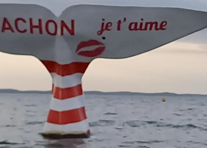 Appart hôtel Résidence De Tourisme Bleues Regina